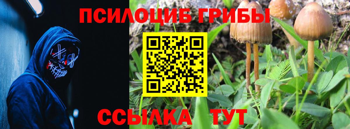 Галлюциногенные грибы прущие грибы Сосновоборск